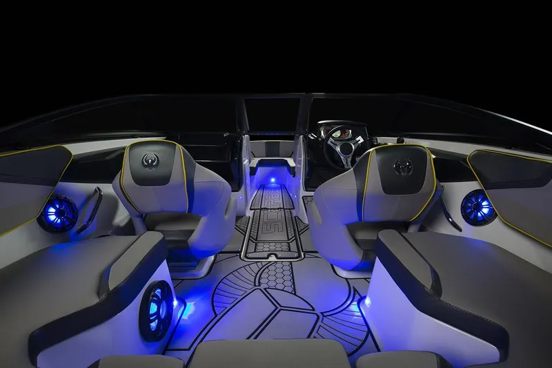 Slide: The Image of Scarab 195 ID 2019 - 8