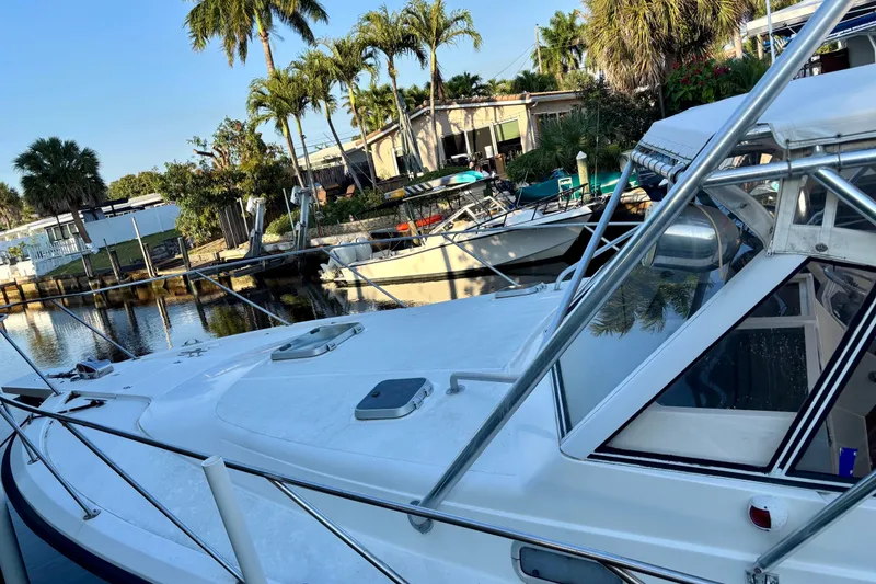 Slide: The Image of 1990 Rampage 36 Express boat docked near palm trees and waterfront homes. - 5