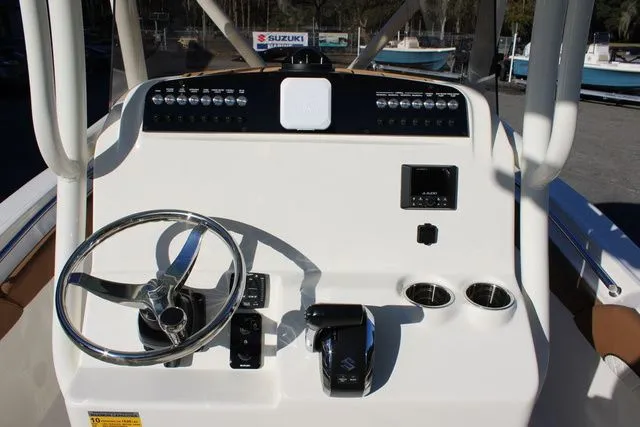 Slide: The Image of Pioneer 222 Islander 2026 - 19
