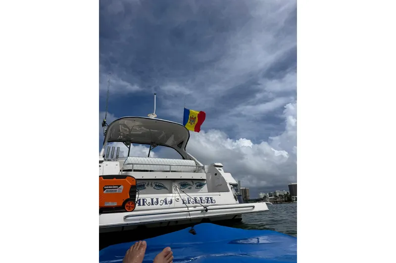 Slide: The Image of 2008 Regal 38 Express yacht with flag, under cloudy sky, viewed from water. - 16