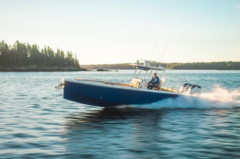The Image of A 2023 Dynamic D-305V boat cruising on a serene lake with forested shoreline. - 0
