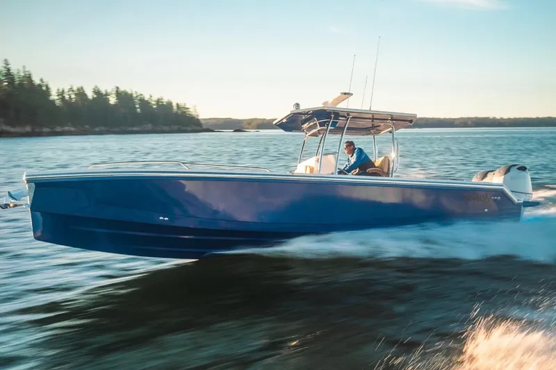 Slide: The Image of 2023 Dynamic D-305V boat cruising on a scenic lake with forested shoreline. - 1