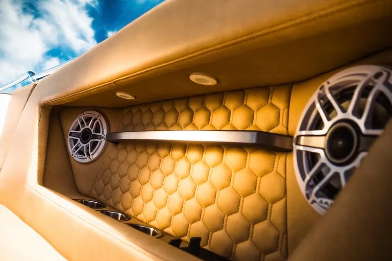 Slide: The Image of Luxurious interior of 2023 Dynamic D-305V with hexagonal pattern and premium speakers. - 19