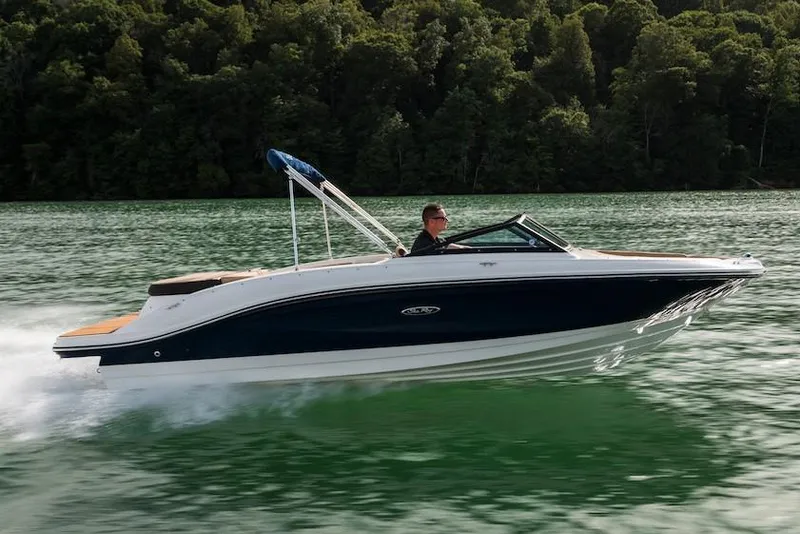 The Image of Manufacturer Provided Image: 2020 Sea Ray SPX 210 boat cruising on a lake. - 0