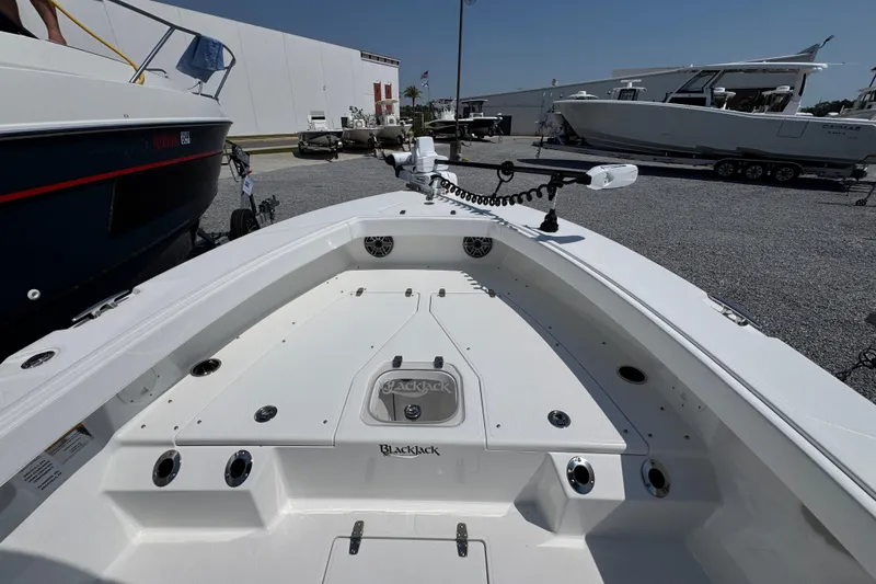 Slide: The Image of 2025 BlackJack 256 Coastal boat deck, featuring sleek design and modern equipment. - 13