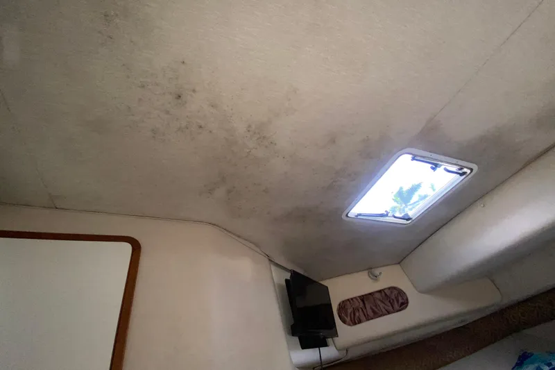 Slide: The Image of Interior ceiling of 1994 Sea Ray 440 Express Bridge with window and visible mold. - 33