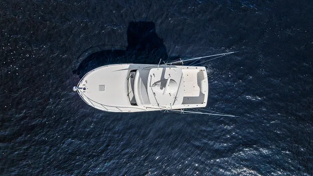 Slide: The Image of Viking 37 Billfish 2018 - 74