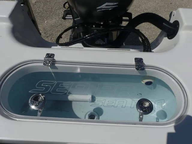 Slide: The Image of Sea Pro 250 Bay 2026 - 31