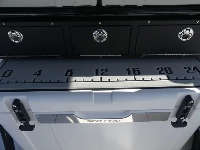 Slide: The Image of Sea Pro 250 Bay 2026 - 34