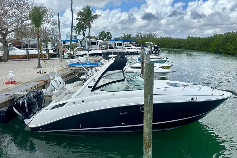 The Image of 2011 Sea Ray Sundancer 280 docked at a marina with palm trees and boats. - 0