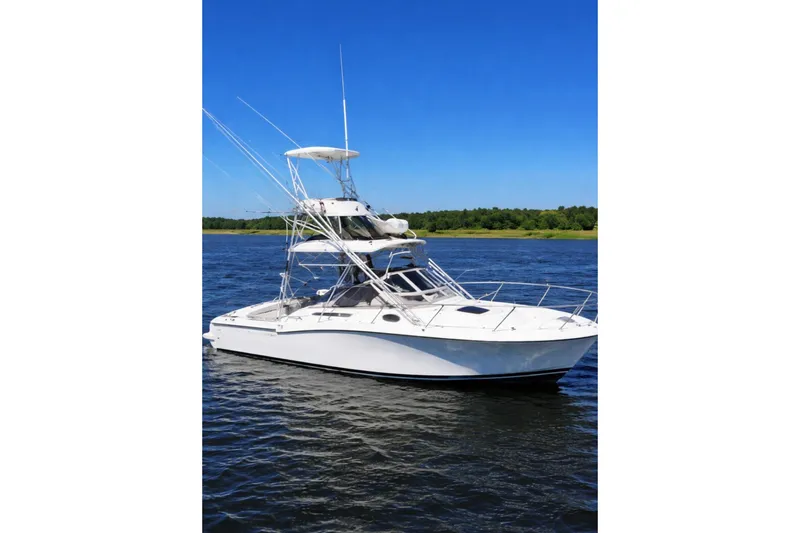 The Image of Carolina 28 2004 - undefined