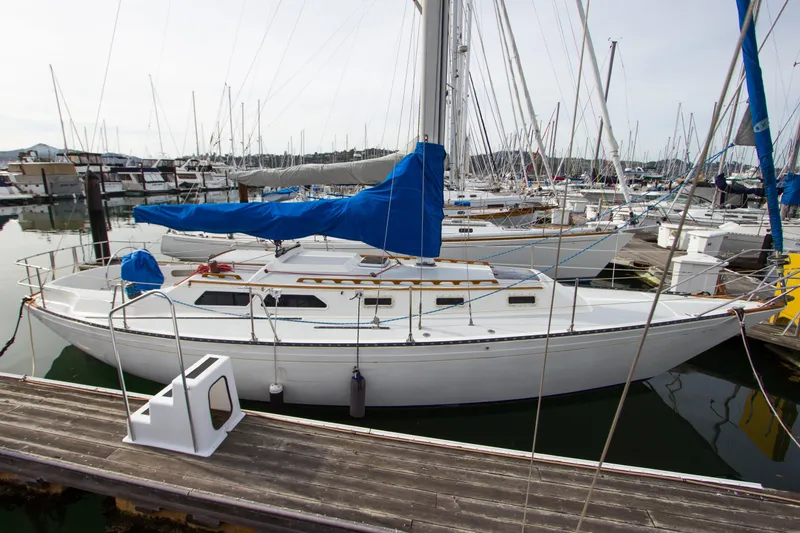 The Image of 1979 Islander sloop docked at marina, featuring blue sail covers and sleek white hull. - 0