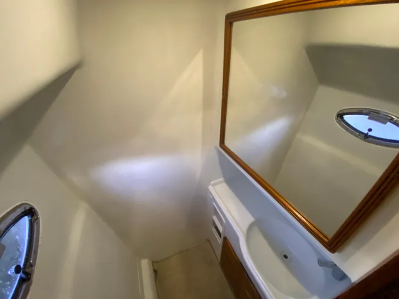 Slide: The Image of Mares 58 Power Cat 1995 - 69