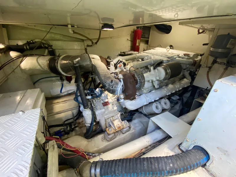 Slide: The Image of Mares 58 Power Cat 1995 - 74