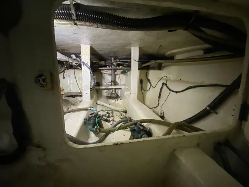 Slide: The Image of Mares 58 Power Cat 1995 - 76