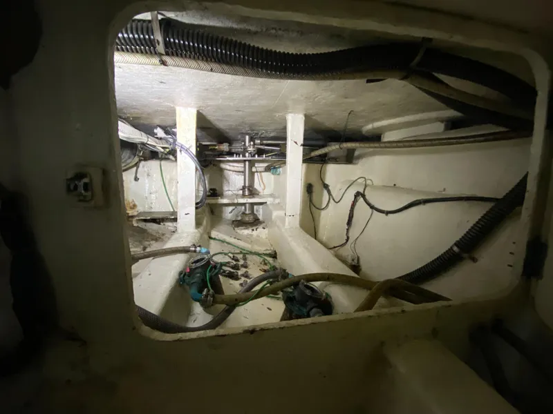 Slide: The Image of Mares 58 Power Cat 1995 - 77