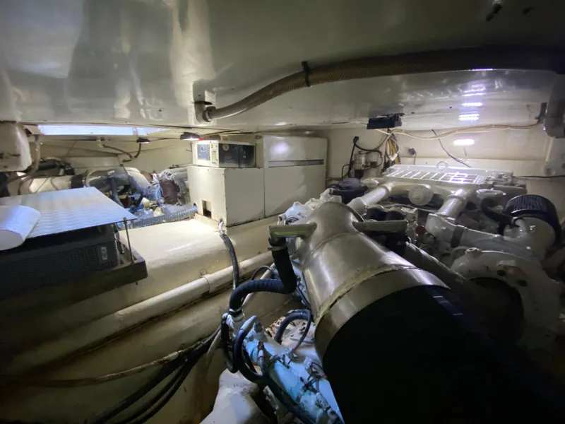 Slide: The Image of Mares 58 Power Cat 1995 - 81