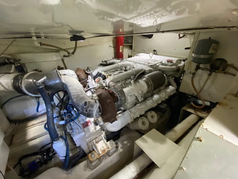 Slide: The Image of Mares 58 Power Cat 1995 - 82