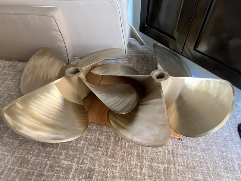 Slide: The Image of Mares 58 Power Cat 1995 - 88