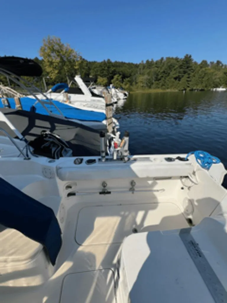 Slide: The Image of Trophy 2352 Walkaround 2007 - 8