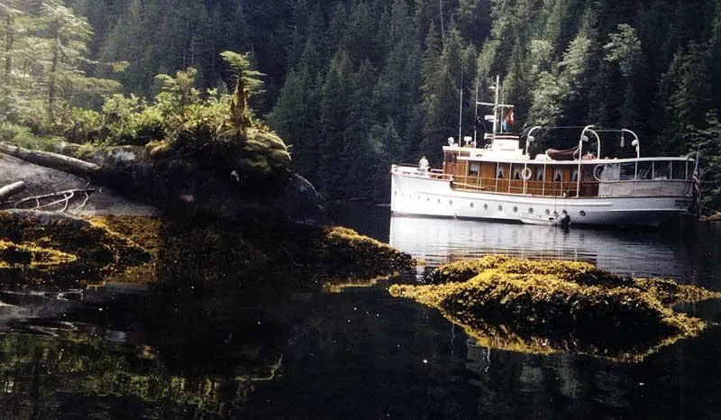 Slide: The Image of 1929 Custom HOFFAR-BEECHING Fantail Yacht in a serene forested cove. - 7