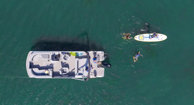 Slide: The Image of Harris Solstice 230 2026 - 4