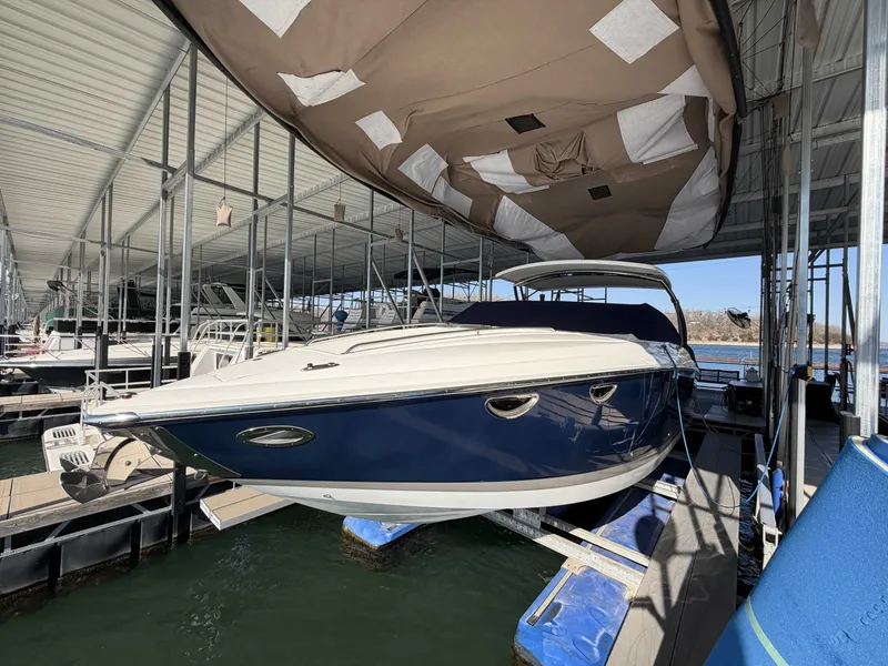 The Image of Cobalt 323 2011 - 1