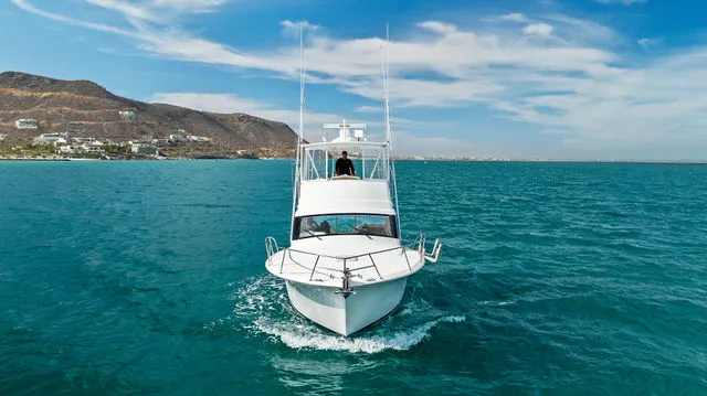 Slide: The Image of Viking 37 Billfish 2017 - 47