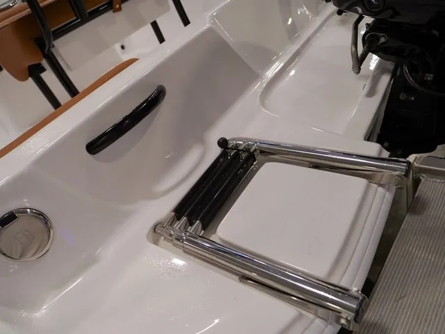 Slide: The Image of ALK2 18CRS 2026 - 31