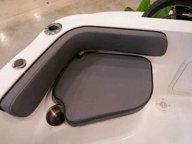 Slide: The Image of ALK2 18CRS 2026 - 11