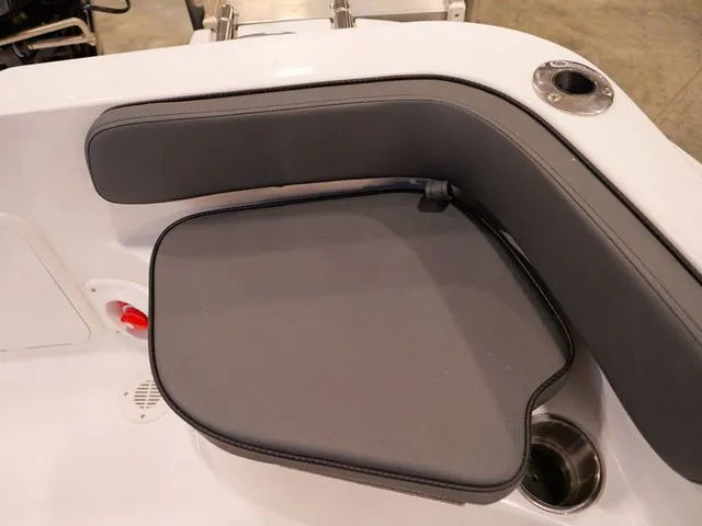 Slide: The Image of ALK2 18CRS 2026 - 13