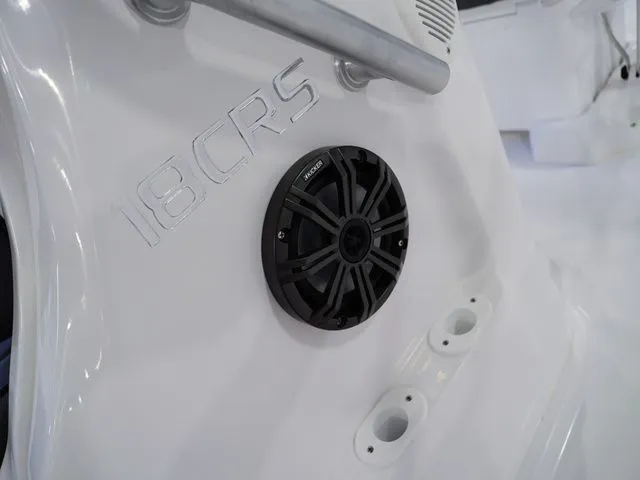 Slide: The Image of ALK2 18CRS 2026 - 17