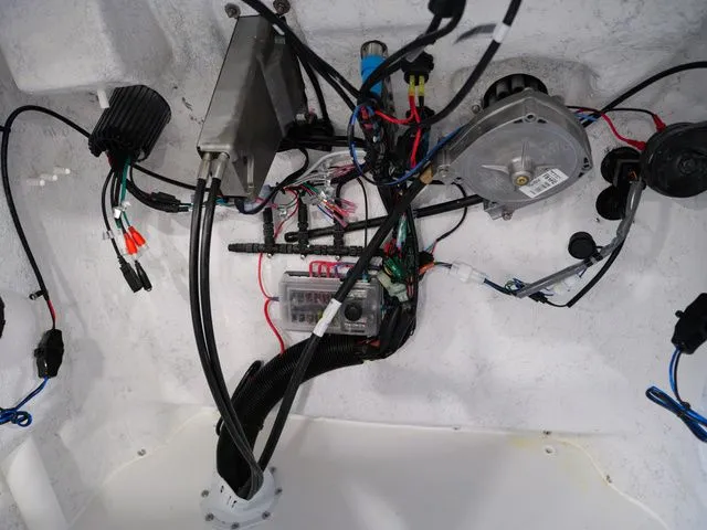 Slide: The Image of ALK2 18CRS 2026 - 19