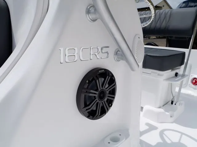 Slide: The Image of ALK2 18CRS 2026 - 47