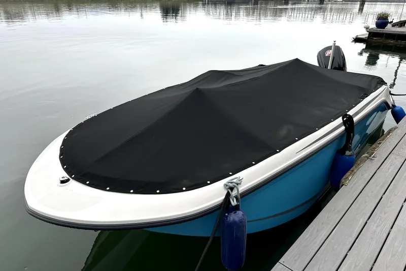 Slide: The Image of 2024 Bayliner Element M19 boat with black cover docked on calm water. - 14