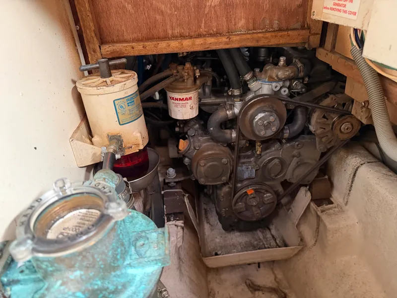 Slide: The Image of Tayana 48 CC 1995 - 137