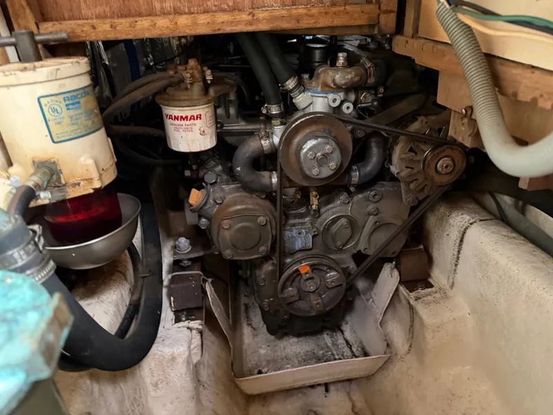 Slide: The Image of Tayana 48 CC 1995 - 138