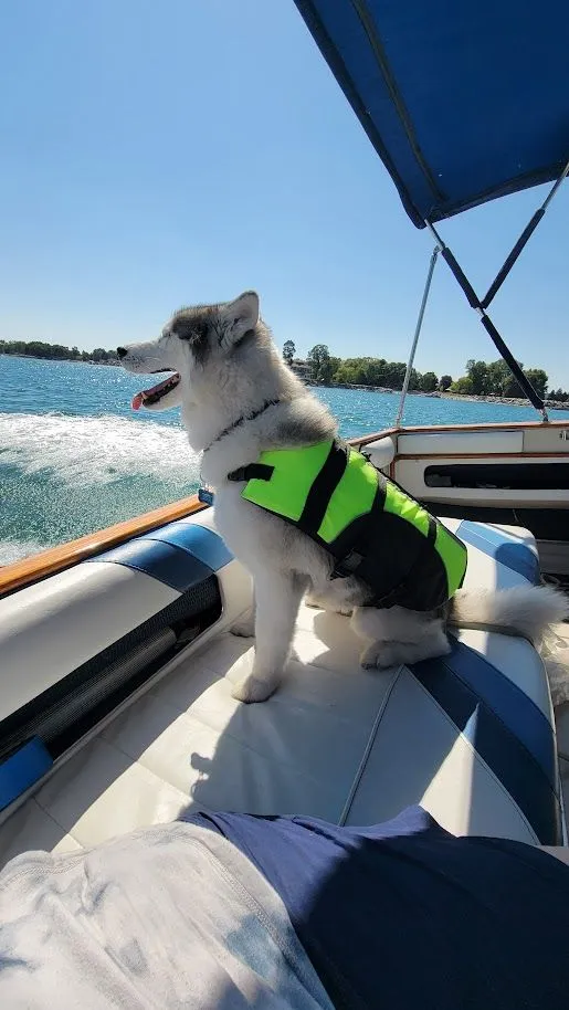 Slide: The Image of Sea Ray 340 Sundancer 1987 - 4