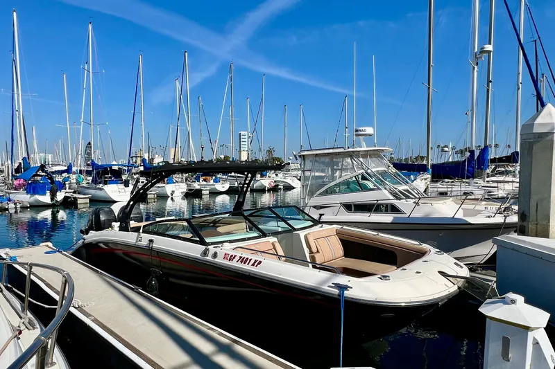 Slide: The Image of 2016 Sea Ray 290 Sundeck Outboard docked in a marina with sailboats. - 7