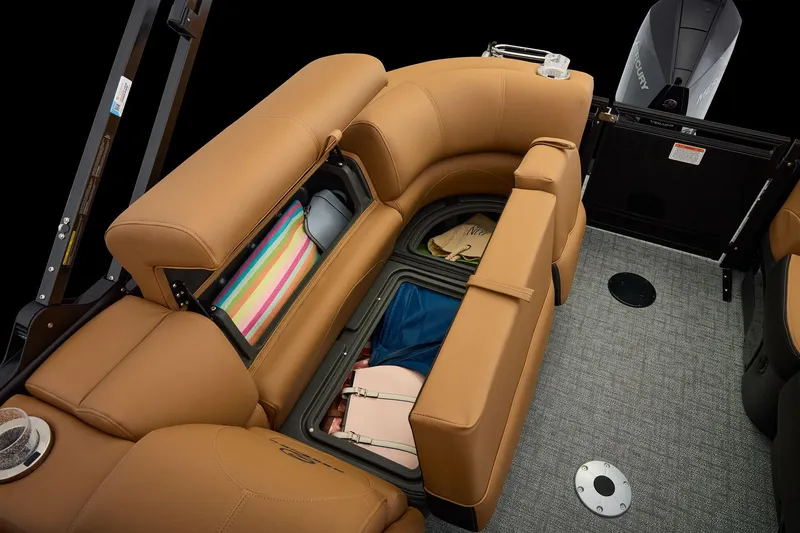 Slide: The Image of Regency 250 DL 2026 - 67