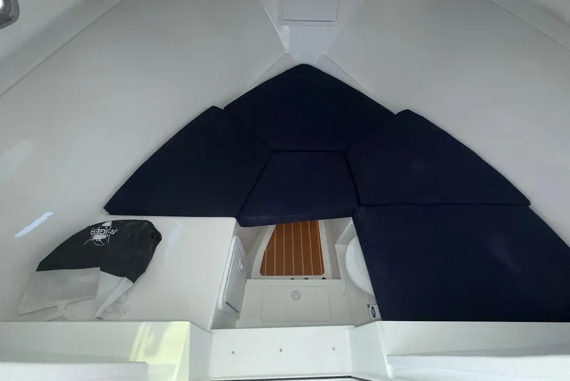 Slide: The Image of Interior of Steiger Craft 28 Annapolis 2026 with blue cushions. - 20