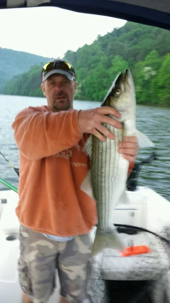 Slide: The Image of Bayliner Fish & Ski 194 SF 2006 - 14