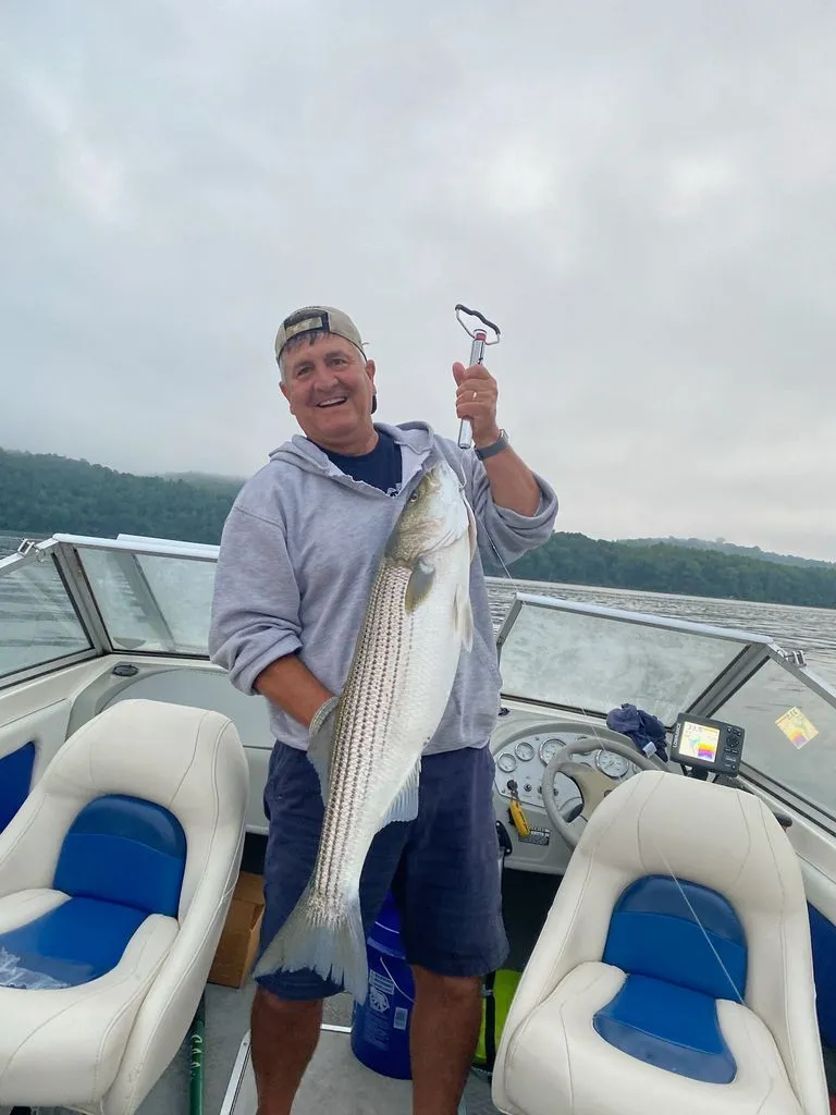 Slide: The Image of Bayliner Fish & Ski 194 SF 2006 - 15