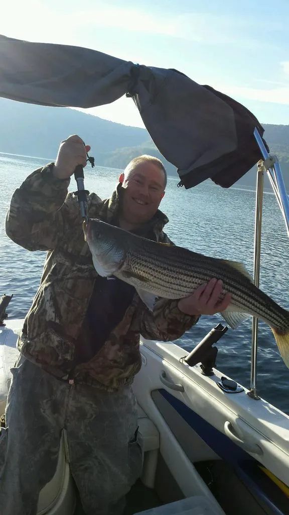 Slide: The Image of Bayliner Fish & Ski 194 SF 2006 - 16