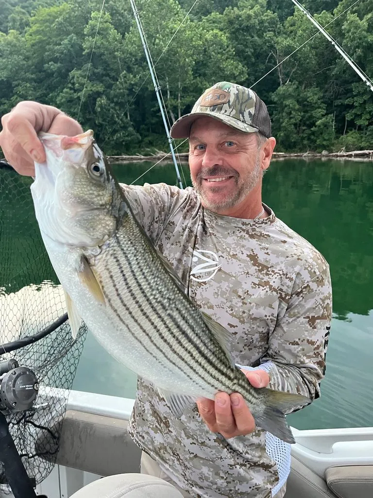 Slide: The Image of Bayliner Fish & Ski 194 SF 2006 - 17