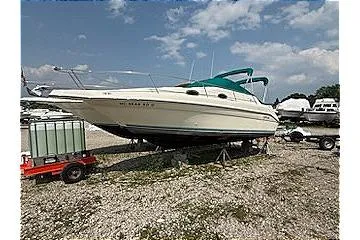 The Image of 1995 Sea Ray 250 Sundancer boat on dry land under a partly cloudy sky. - 1