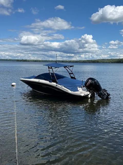 Slide: The Image of Sea Ray SPX 190 Outboard 2022 - 9