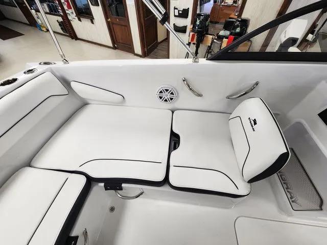 Slide: The Image of Stingray 172 DC 2026 - 13