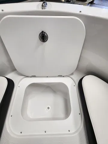 Slide: The Image of Stingray 172 DC 2026 - 16