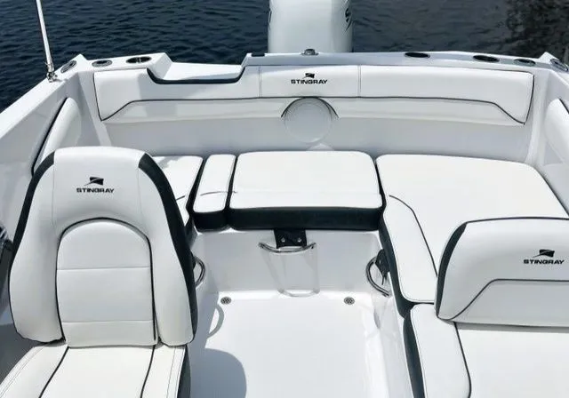 Slide: The Image of Stingray 172 DC 2026 - 25